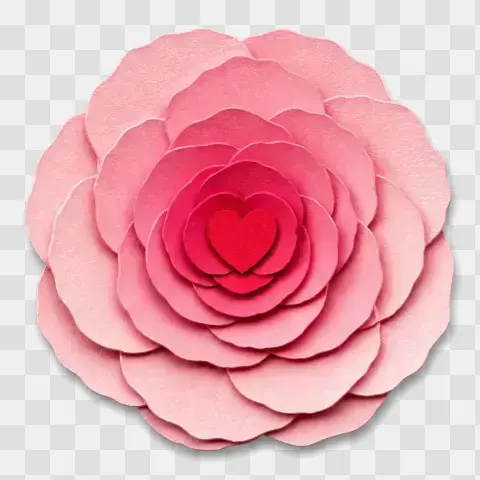 Camellia Full Bloom Top Down Valentine Seal View