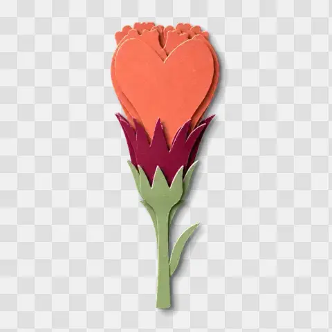Heart Tipped Carnation Bud Single Stem