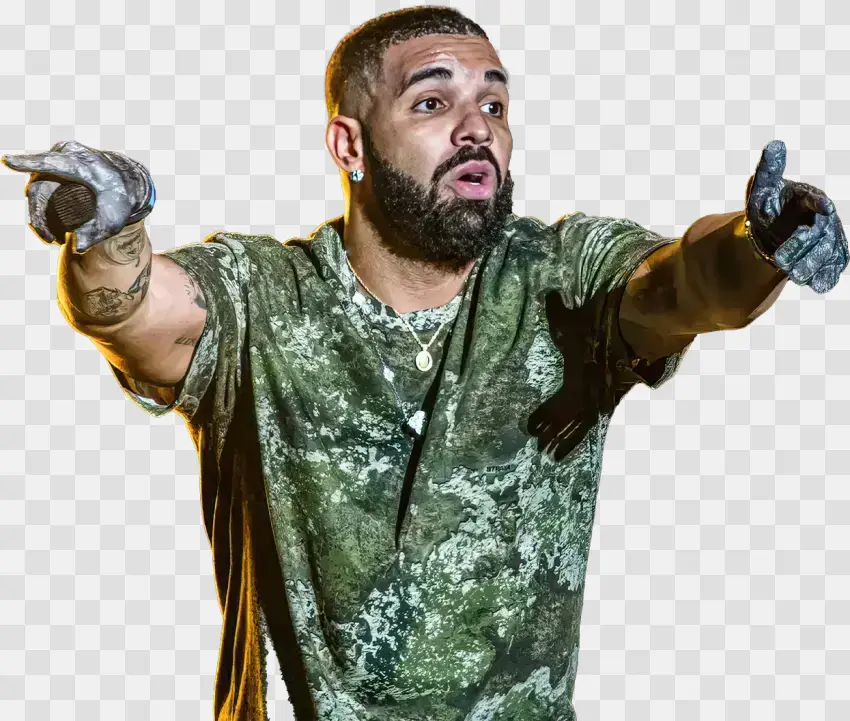 Drake Pointing During Live Show
