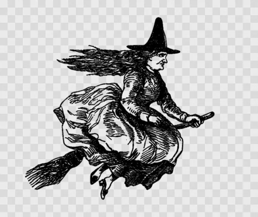 Flying Witch Vintage Illustration