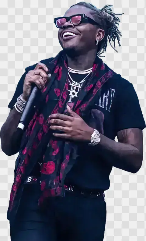 Musician Singing Live On Stage
